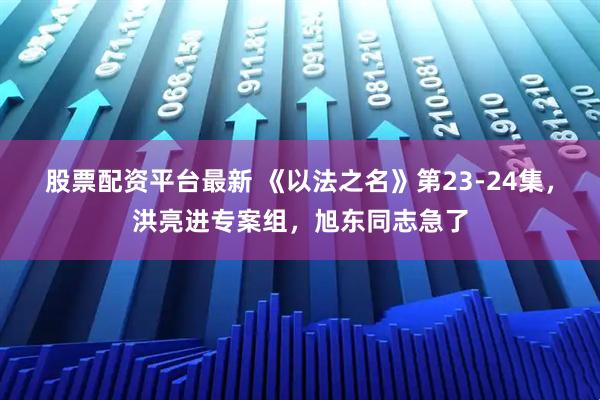 股票配资平台最新 《以法之名》第23-24集，洪亮进专案组，旭东同志急了