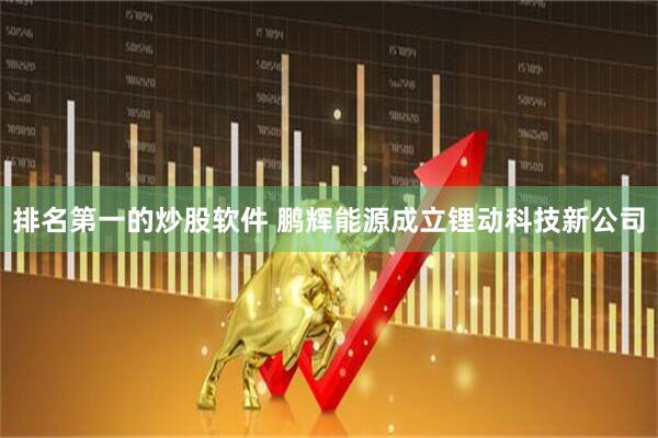 排名第一的炒股软件 鹏辉能源成立锂动科技新公司