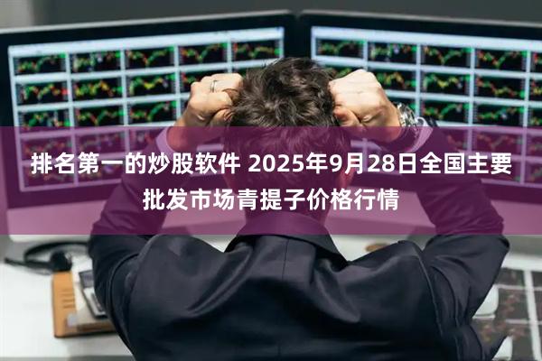 排名第一的炒股软件 2025年9月28日全国主要批发市场青提子价格行情