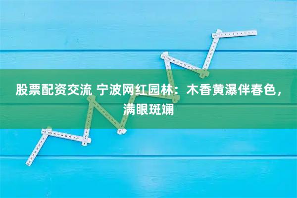 股票配资交流 宁波网红园林：木香黄瀑伴春色，满眼斑斓